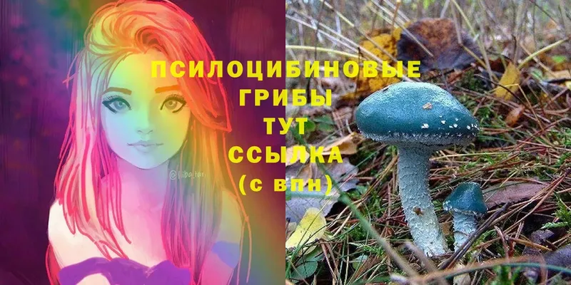 Галлюциногенные грибы Cubensis  Алушта 